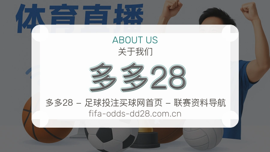 多多28平台服务介绍